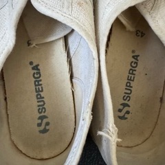 SPERGA スペルガ　スニーカーの画像