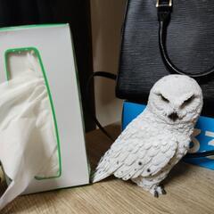 ふくろう　おきものの画像