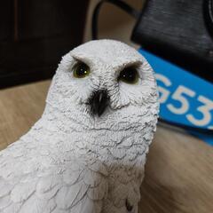 ふくろう　おきものの画像