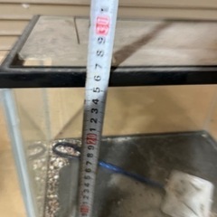 水槽　1の画像
