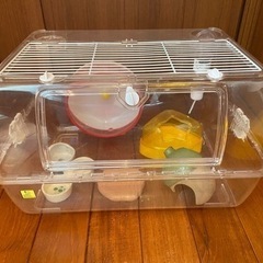 ハムスター飼育ゲージセット！