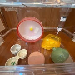 ハムスター飼育ゲージセット！の画像