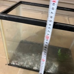 水槽　5の画像
