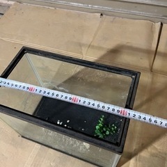 水槽　5の画像