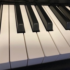 【CARINA】 電子ピアノ 88鍵盤 ペダル付きの画像