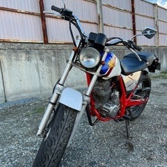 置き場にこまりさらに値下げ！TFR 223の画像