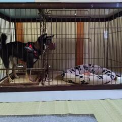 Petioペットサークル　飛び出し防止の板ありの画像