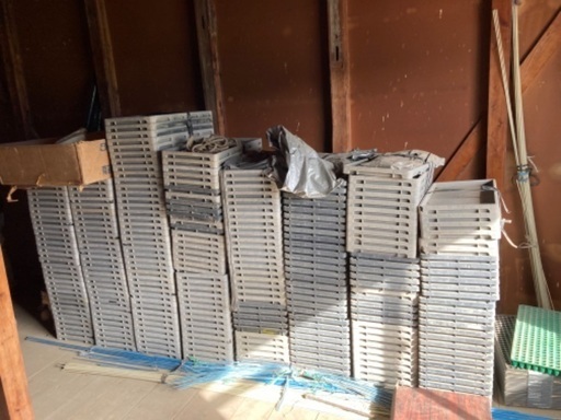 苗床　２５０枚以上　農家　農業