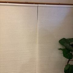 引取り期間限定❣️2本セット✨️✨️IKEA 100×210cm...