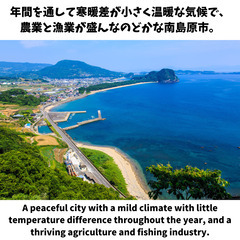 ～ 広大な敷地と畑付き ～ 遠くに海の見える３DK 長崎県 - 不動産
