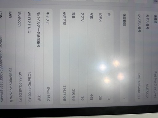 ipad pro 11 2018年モデル(セルラーモデル256GB)