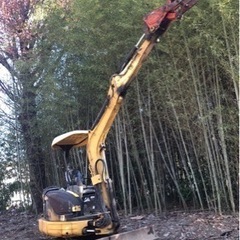 cat303SR