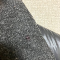 デュベティカ　ダウン　オイネオの画像