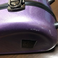 テナーサックスケースの画像