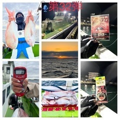 2023年11月第4週❗️手ぶらで『真鯛五目』船釣り楽しも〜🎣第...