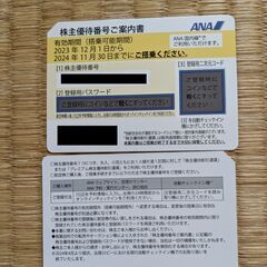 【最新：手渡し可】ANA国内線株主優待２枚セット（＋冊子）202...