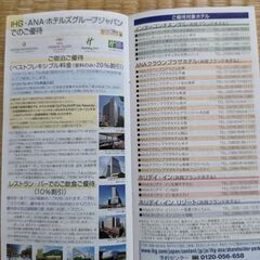 【最新：手渡し可】ANA国内線株主優待２枚セット（＋冊子）2023年下期分 有効期限2024年11月30日迄の画像