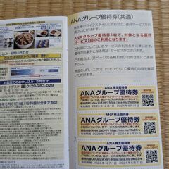 【最新：手渡し可】ANA国内線株主優待２枚セット（＋冊子）2023年下期分 有効期限2024年11月30日迄の画像