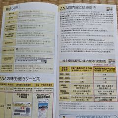 【最新：手渡し可】ANA国内線株主優待２枚セット（＋冊子）2023年下期分 有効期限2024年11月30日迄の画像