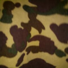 【お値下げ】メンズ 迷彩柄 長袖シャツの画像