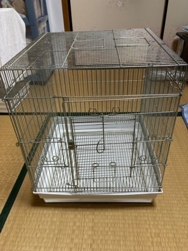 HOEI465インコ手乗り　中古