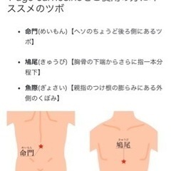 バラ売り特価　ライフウェーブ社カルノシン23枚の画像