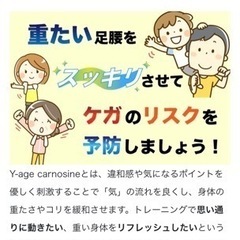 バラ売り特価　ライフウェーブ社カルノシン23枚の画像