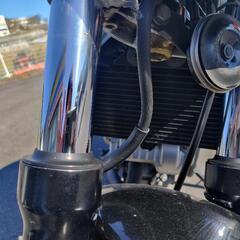 他サイトで決まりました。VTR250。最終値下げ！ショップにて整備済み。消耗品交換済み。ガレージにて保管、状態良し。お気軽にお問い合わせください。の画像