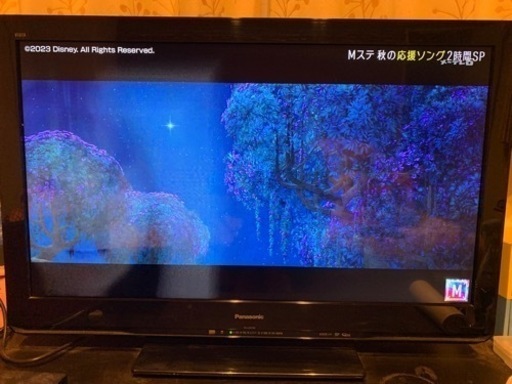 Panasonic  VIERA TH-L37S2 [37インチ]