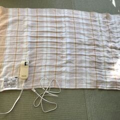（中古）電気しき毛布 DB-U11T