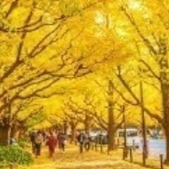 都内で紅葉