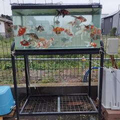 90cm水槽台（上下二段置けるタイプ）