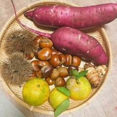 自然農法の畑作り仲間募集します