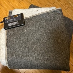 ホットカーペット　電気　100Vの画像