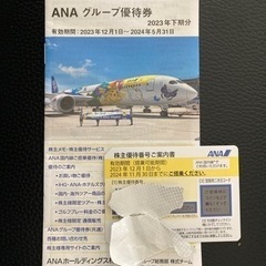 ANA株主優待チケット