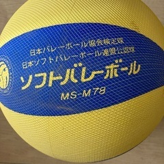 ソフトバレーボールの画像