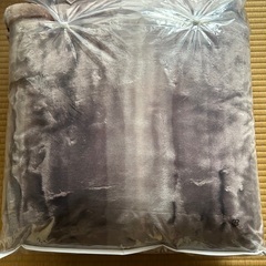 綿入りマイヤー毛布の画像