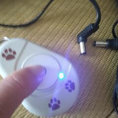犬ムダ吠え防止しつけの画像