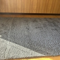 ニトリ　シャギーラグ　お話中