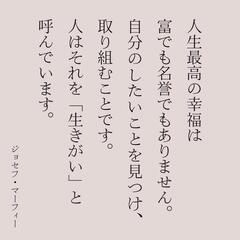 期間限定出店☆サムライ・カイロプラクティック☆北海道初上陸！の画像