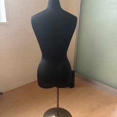 トルソー　11/26の画像