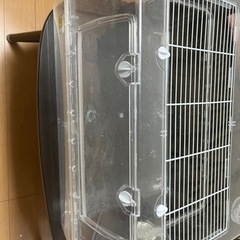 ルーミィ60（取引完了）