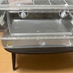 ルーミィ60（取引完了）の画像