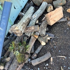 無料薪　無料　広葉樹