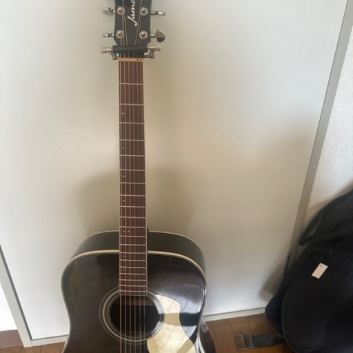James 450Dギター