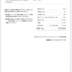 【期間限定】スノーピーク　ナイロンジャケット開梱新品🩶の画像