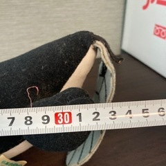 【レア品】ウナギイヌBIGぬいぐるみの画像