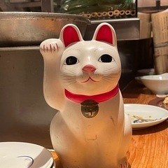 色々手伝っちゃいます！