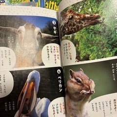 はてな？はっけん！ブック 13冊セット 2018 2019 チャレンジ1年生の画像