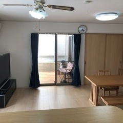 保護ネコちゃん達がいるグループホームで世話人さん募集中♪の画像